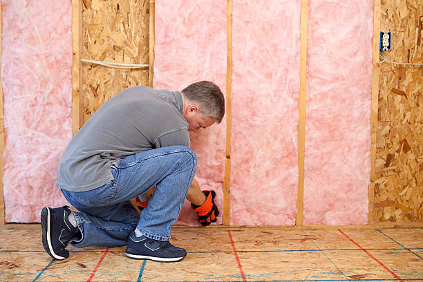 Best Geographic-Specific Insulation Services in Nroe City, MO
