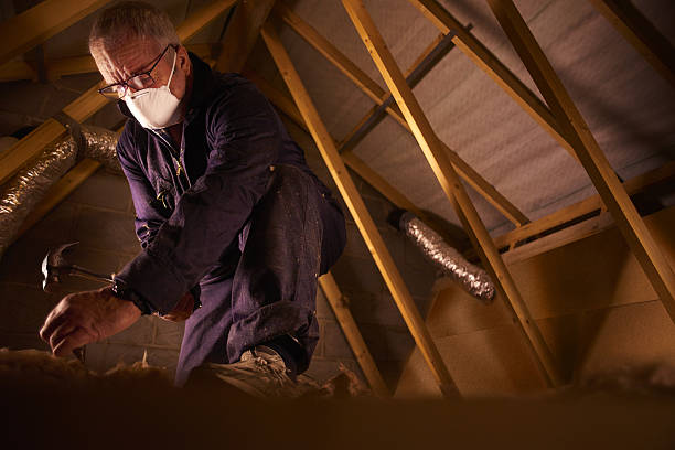 Best Cellulose Insulation in Nroe City, MO